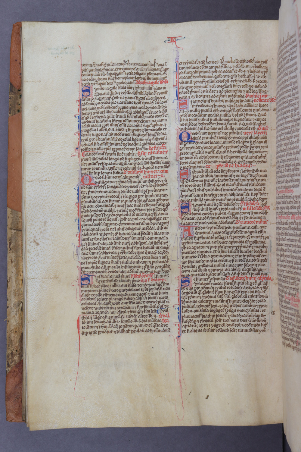 Folio 84 verso